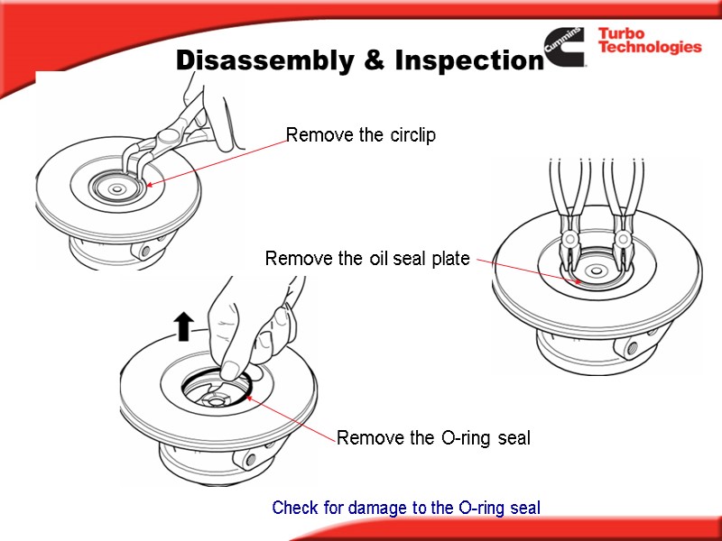 Disassembly & Inspection Remove the circlip Remove the oil seal plate Remove the O-ring